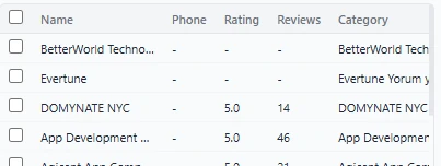 Scraped Google Maps results table in MapsScraper